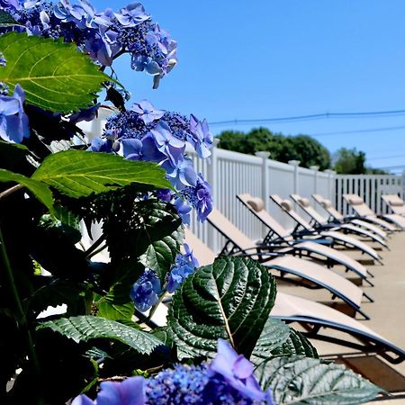 Sea View Motel Ogunquit Kültér fotó