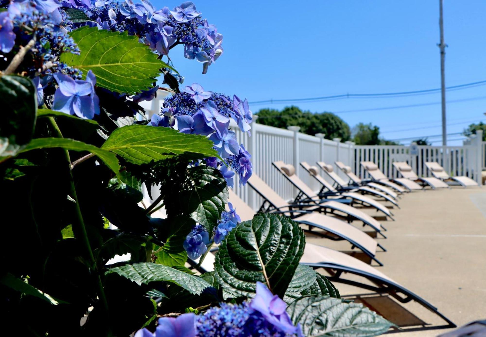 Sea View Motel Ogunquit Kültér fotó
