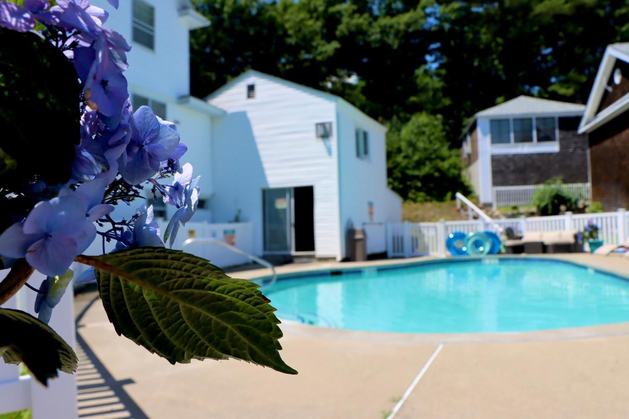 Sea View Motel Ogunquit Kültér fotó